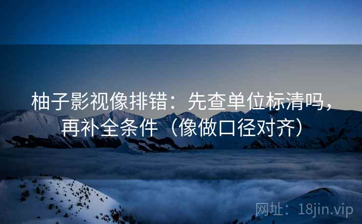 柚子影视像排错：先查单位标清吗，再补全条件（像做口径对齐）