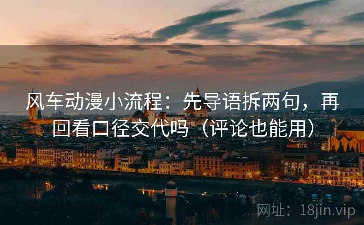 风车动漫小流程：先导语拆两句，再回看口径交代吗（评论也能用）